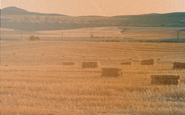 ahorro-factura-luz-agricultura.jpg